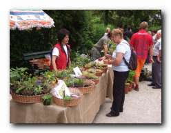Kliknite za pove�avo slike